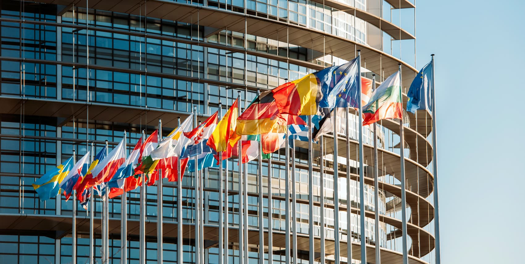 European flags in front of a building